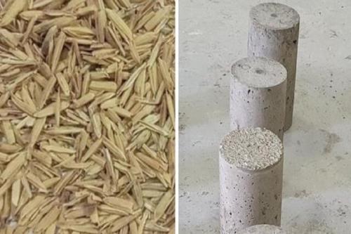 محققان ضایعات برنج را با کمک هوش مصنوعی به بتن تبدیل کردند